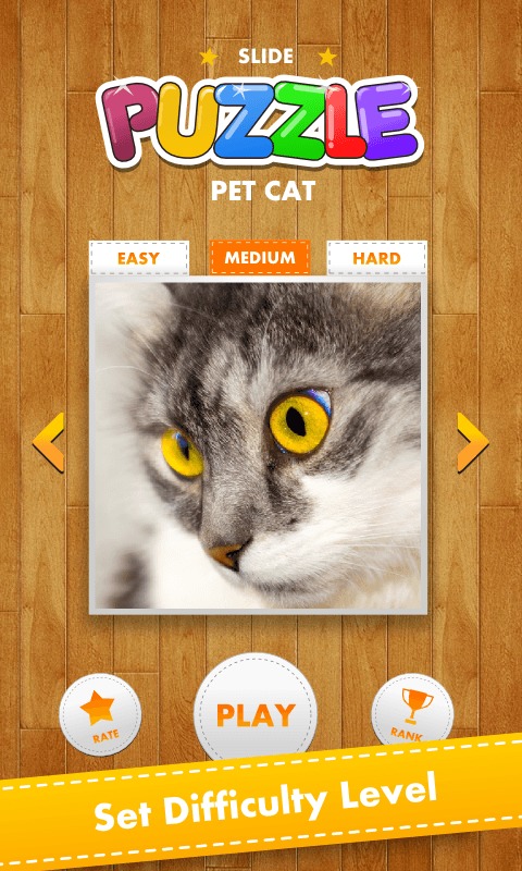 Puzzle Pet Cat截图2