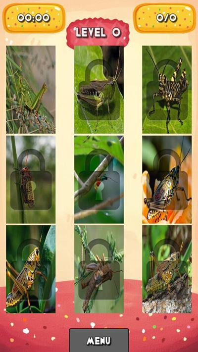 Grasshopper Jigsaw Puzzles截图2