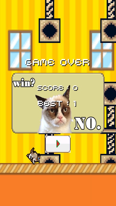 Flap Grumpy Cat截图3