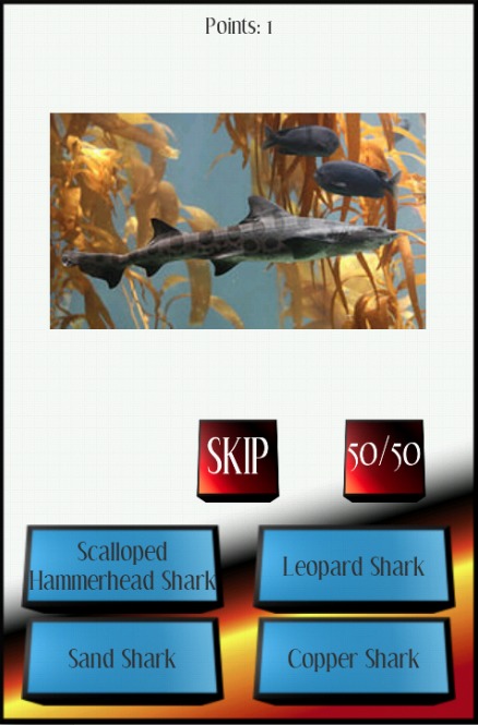 Sharks Picture Quiz截图4