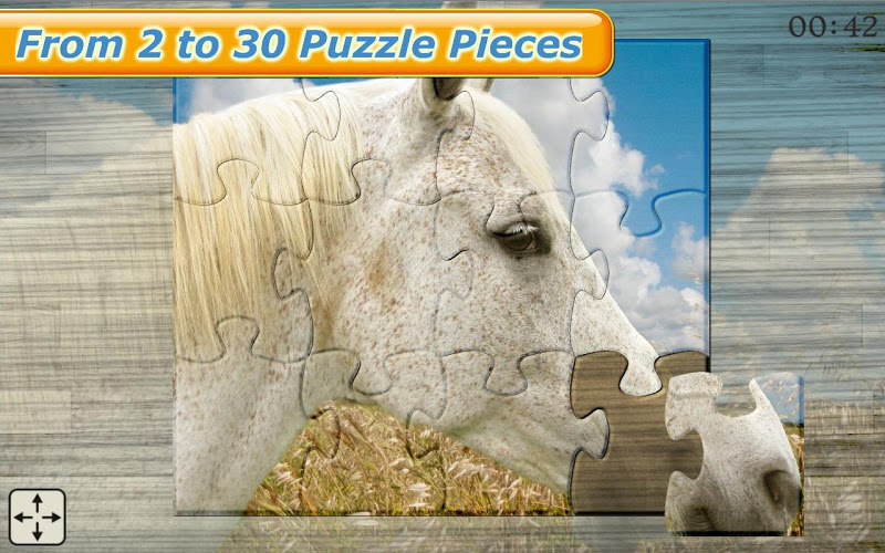 Horses Jigsaw Puzzles for Kids截图3