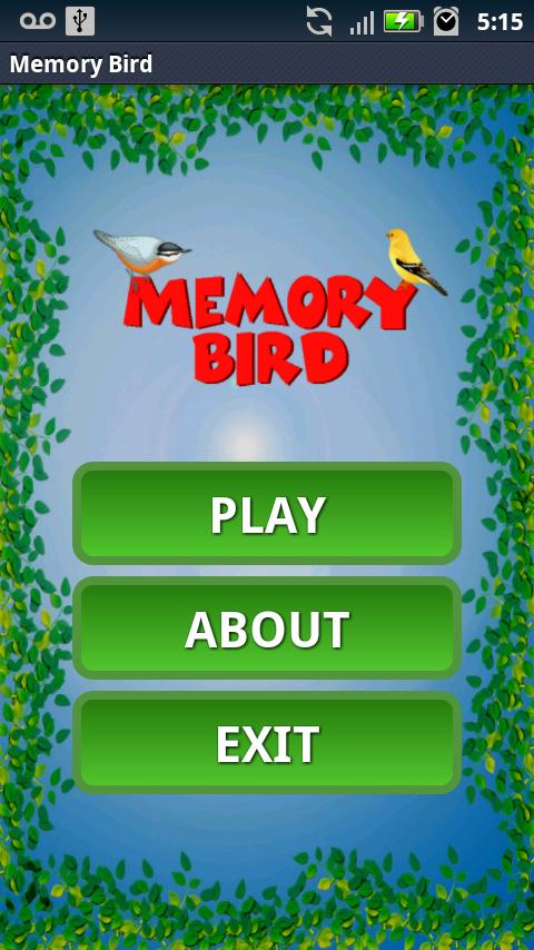 Memory Bird截图1