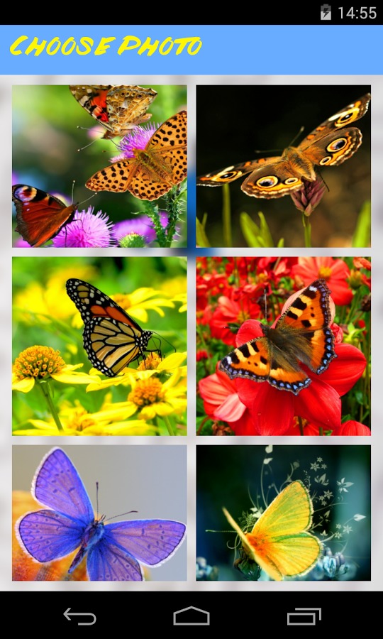 Butterflies Jigsaw Puzzle截图2