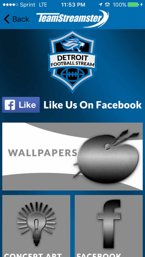 Detroit Football STREAM截图5