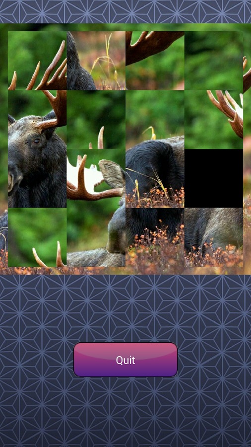 Picture Puzzler截图2