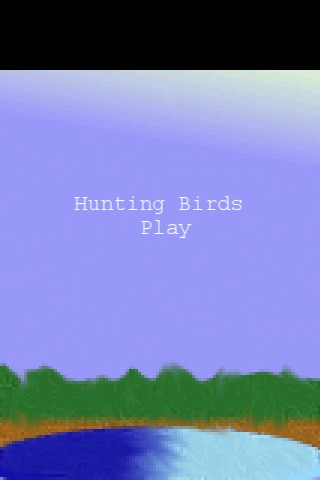 Hunting Birds截图1