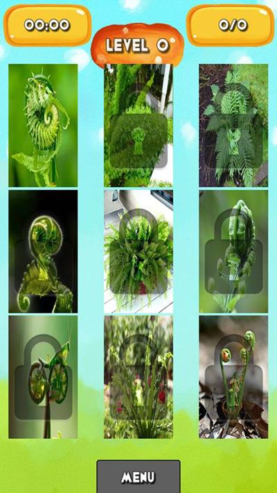 Fern Jigsaw Puzzle截图2