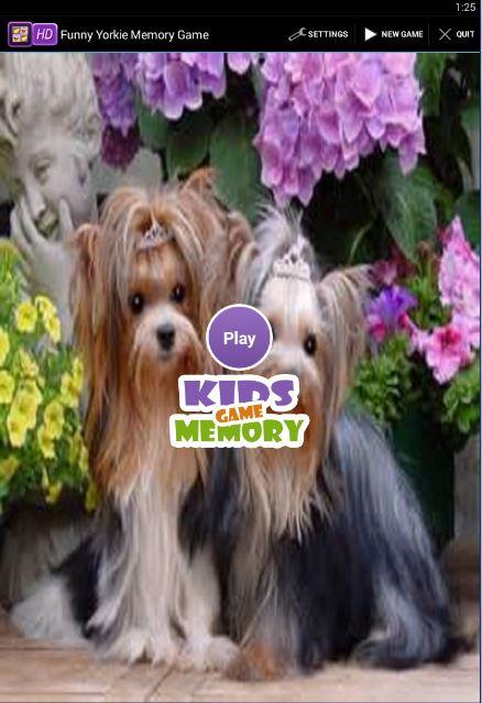 Funny Yorkie Memory Game截图1