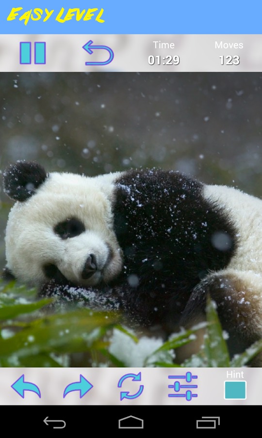 Panda Jigsaw Puzzle截图5