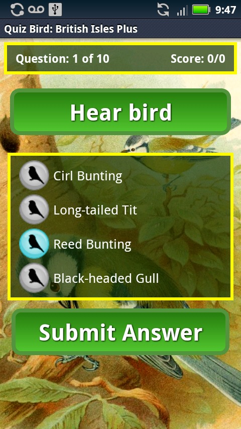 Quiz Bird: British Isles截图2