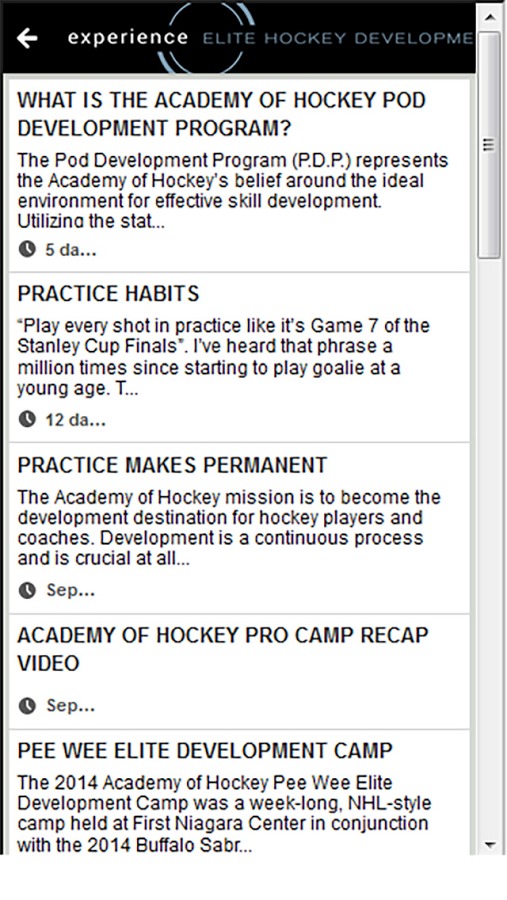 Academy of Hockey截图3