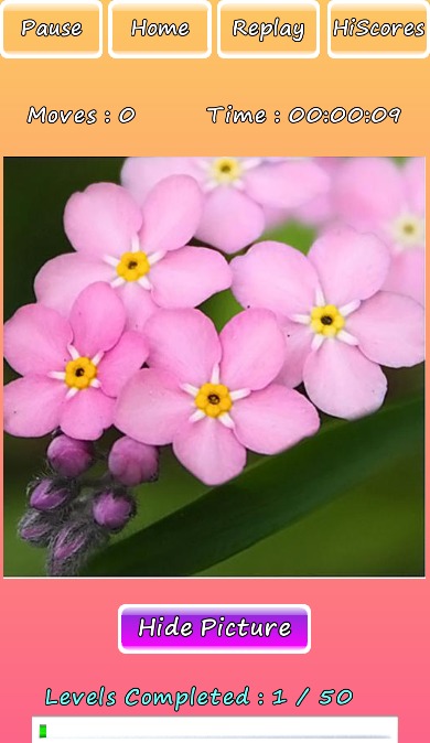 Photo Puzzle Of Flowers截图2