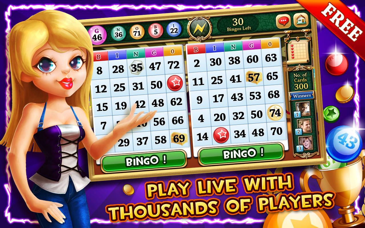 Bingo Tournament截图5