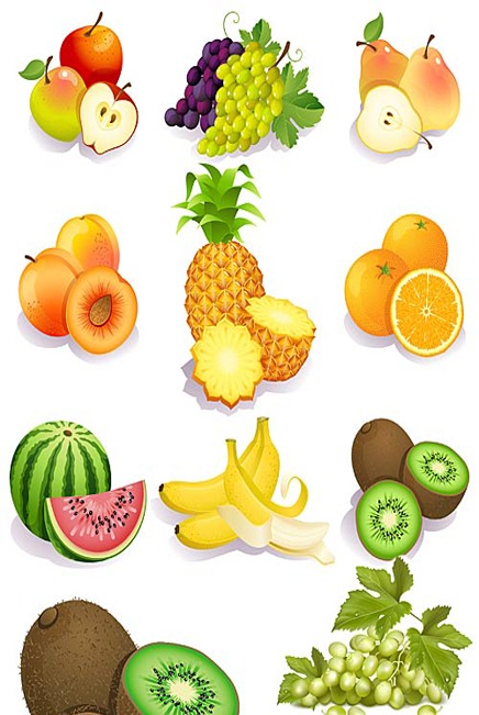 Free Fruit Games App截图4