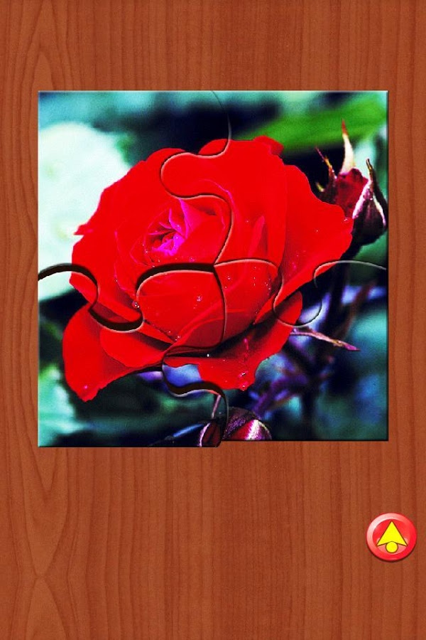 Flowers Jigsaw Puzzle截图4