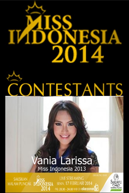 Miss Ina 2014 Puzzle Games截图4