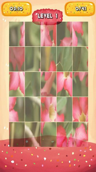 Desert rose Jigsaw Puzzles截图5