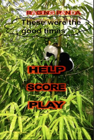 Raging Panda截图1