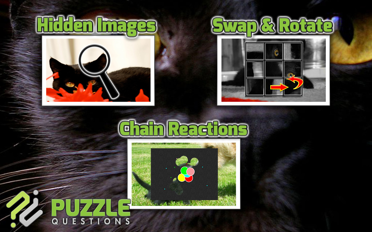 Free Black Cat Puzzles截图3