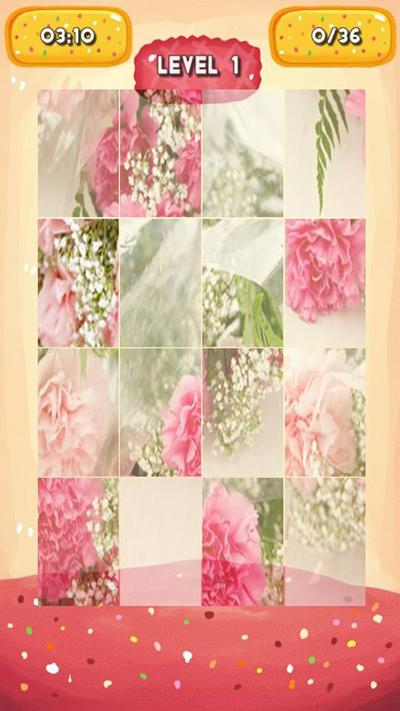 Carnation Jigsaw Puzzles截图5