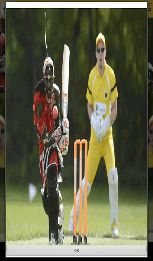 Cricket Games截图3