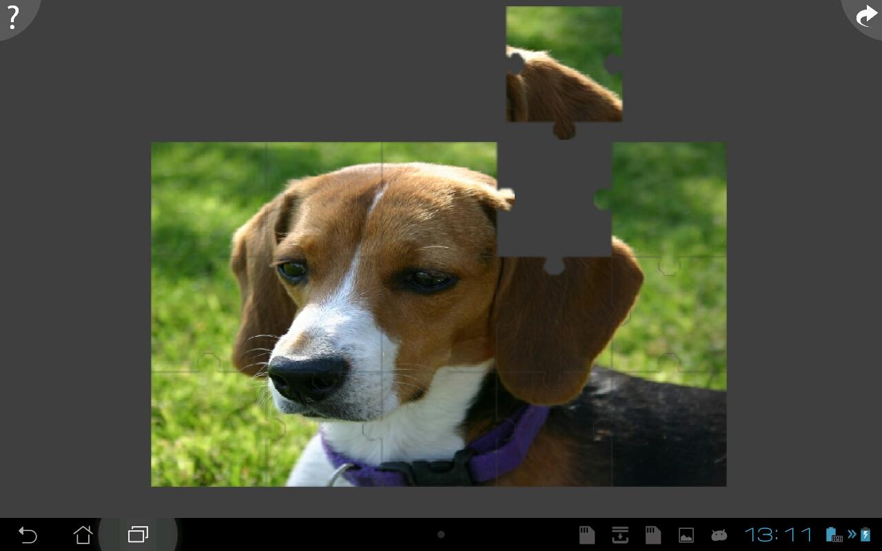 Dogs Jigsaw Puzzles截图2