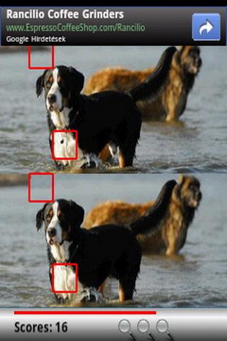 Find the Differences: Dogs截图1