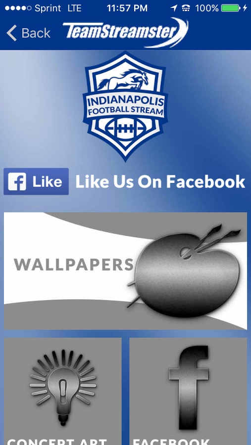 Indianapolis Football STREAM截图4