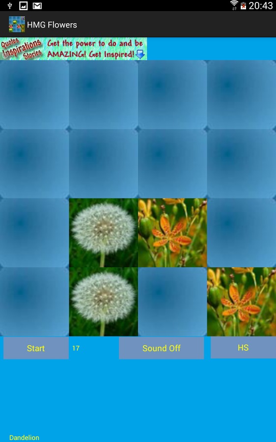 Flowers Hard Memory Game (HMG)截图3