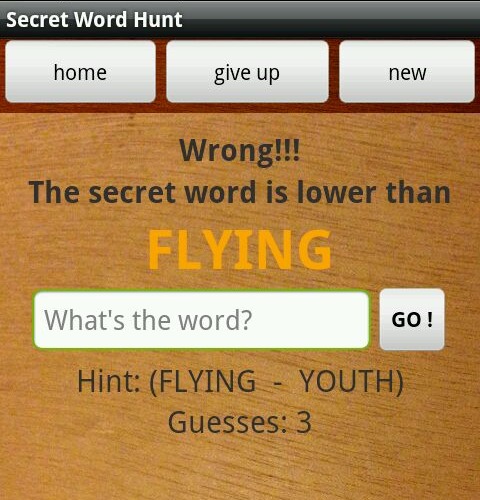 Secret Word Hunt截图1