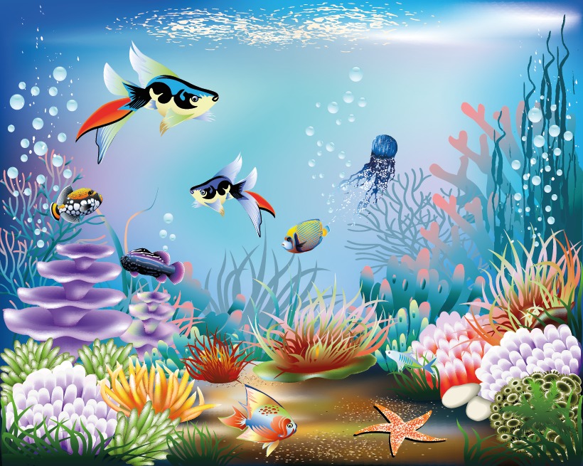 Hidden Object Underwater World截图2