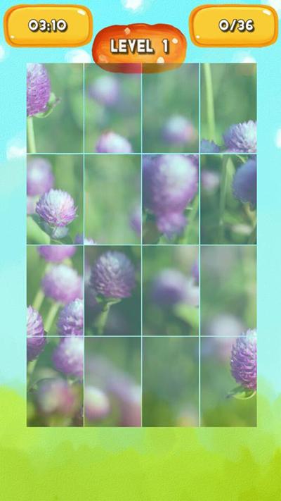 Globe amaranth Jigsaw Puzzles截图3