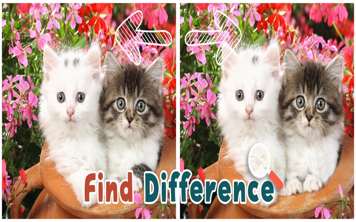 Find 5 Difference : Cats截图3