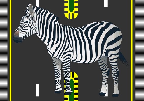 zebra_crossing截图2