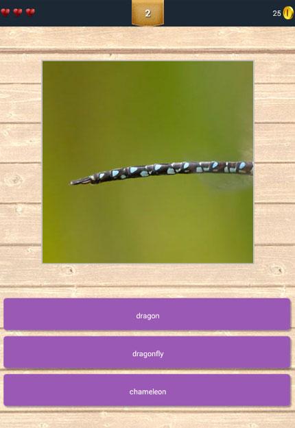 Animals Tails Quiz截图2