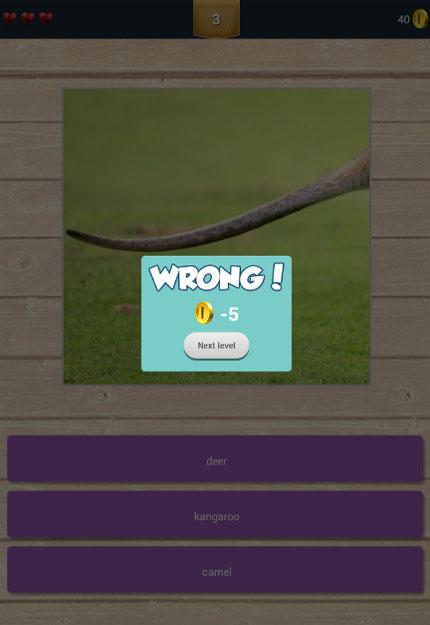 Animals Tails Quiz截图3