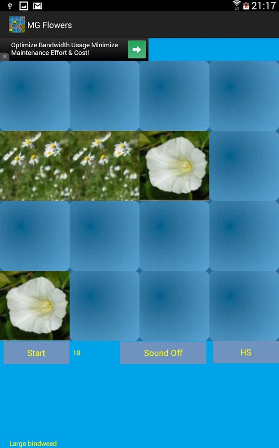 Memory game - Flowers截图3