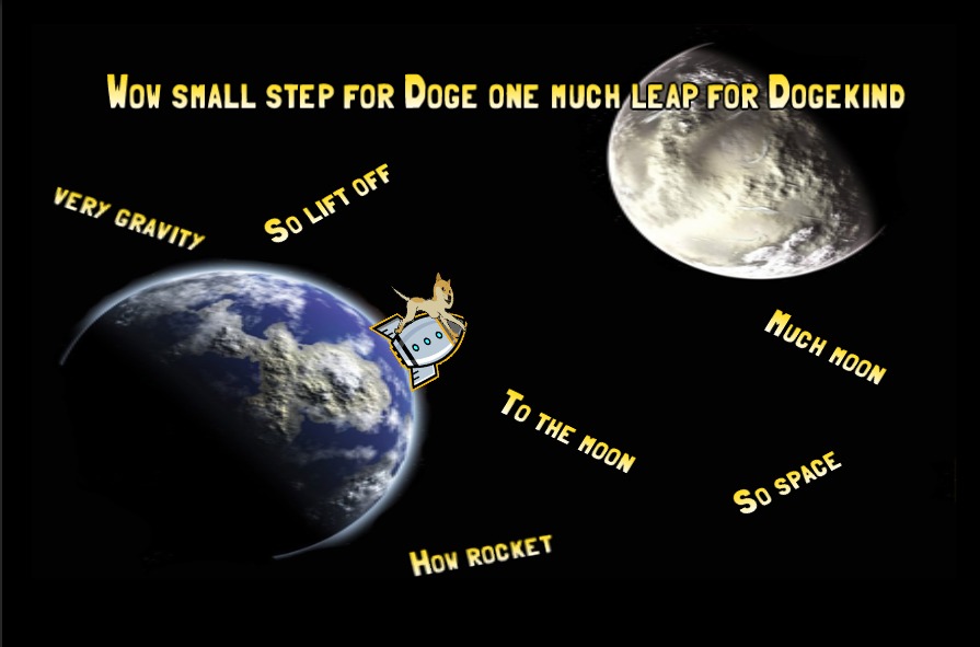 Doge To The Moon Dogecoin Game截图4