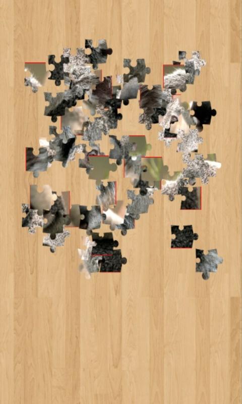 Jigsaw Animal For Kids截图2