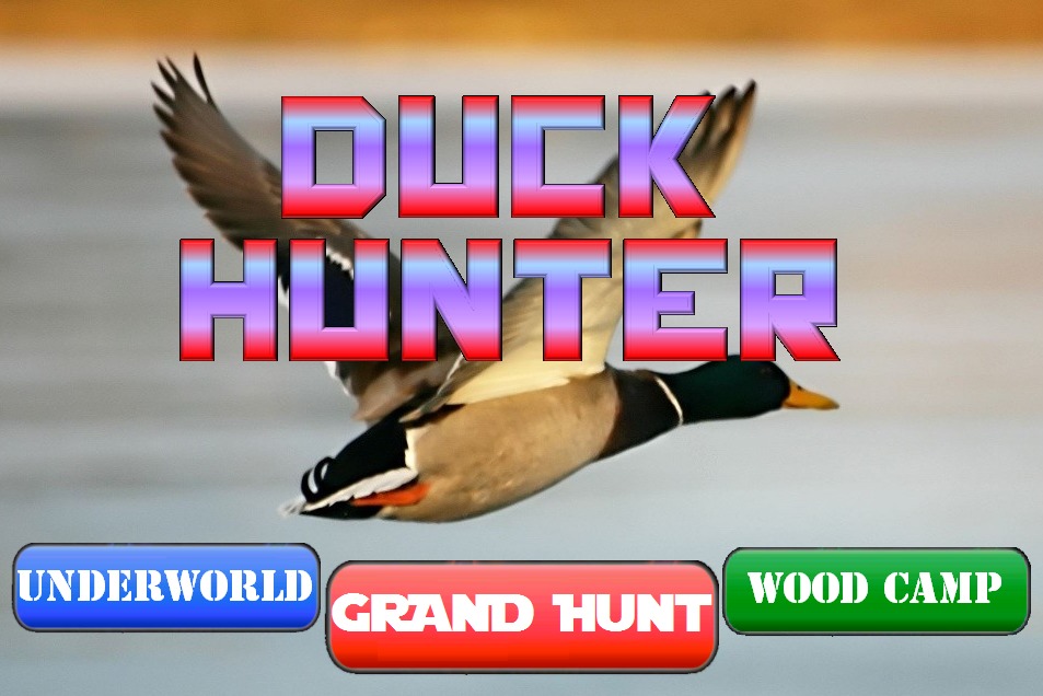 Duck Hunter Pro截图2