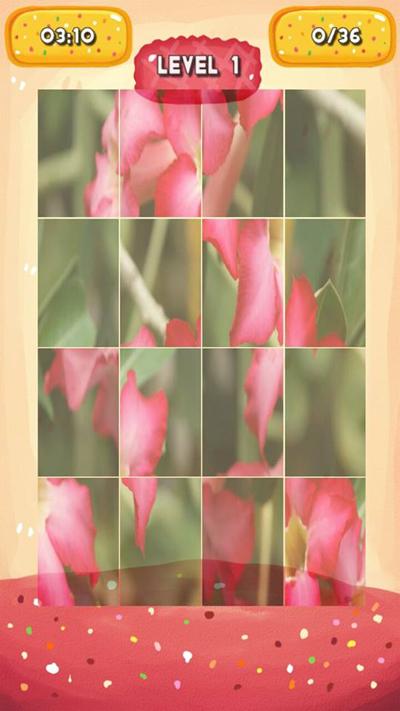 Desert rose Jigsaw Puzzles截图4