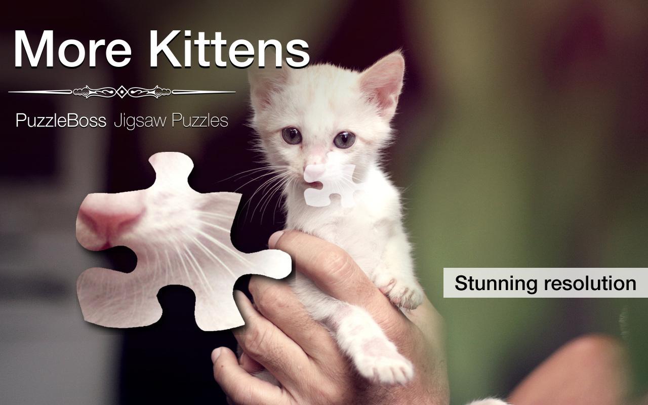 More Kitten Jigsaw Puzzles截图5