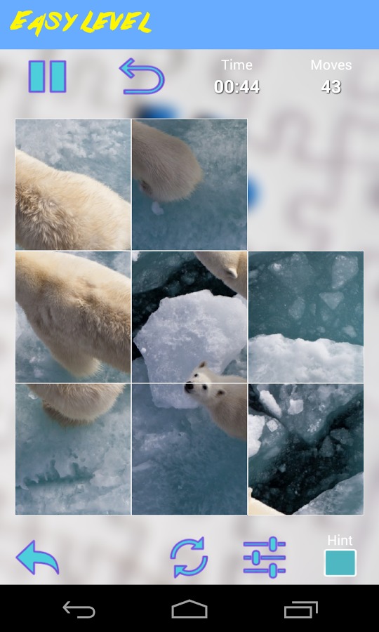 Bear Jigsaw Puzzle截图5