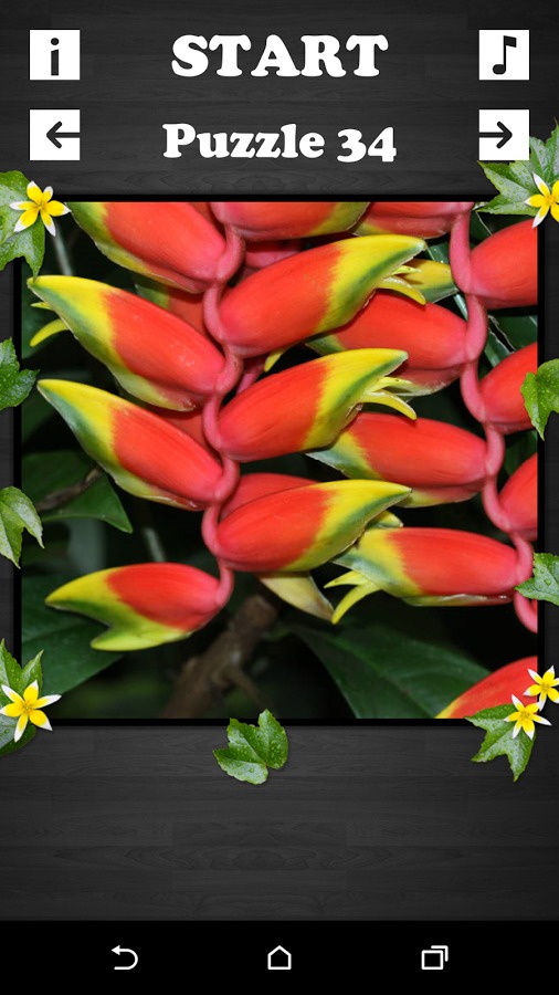 Exciting Puzzle - Flowers截图3