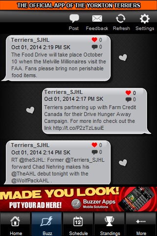 Yorkton Terriers截图3