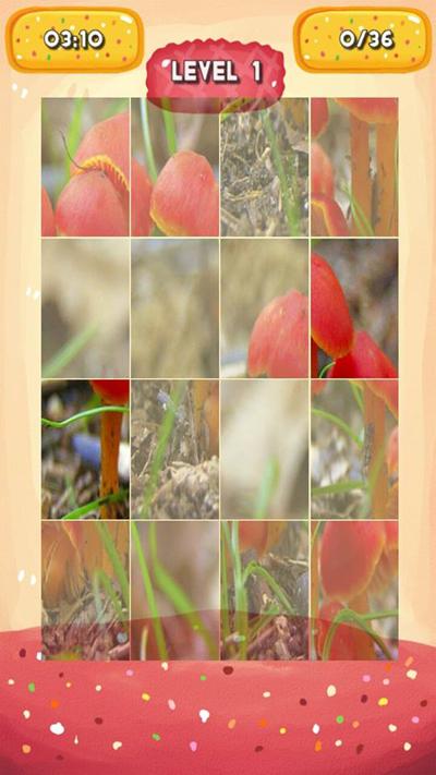 Mushrooms Jigsaw Puzzles截图4