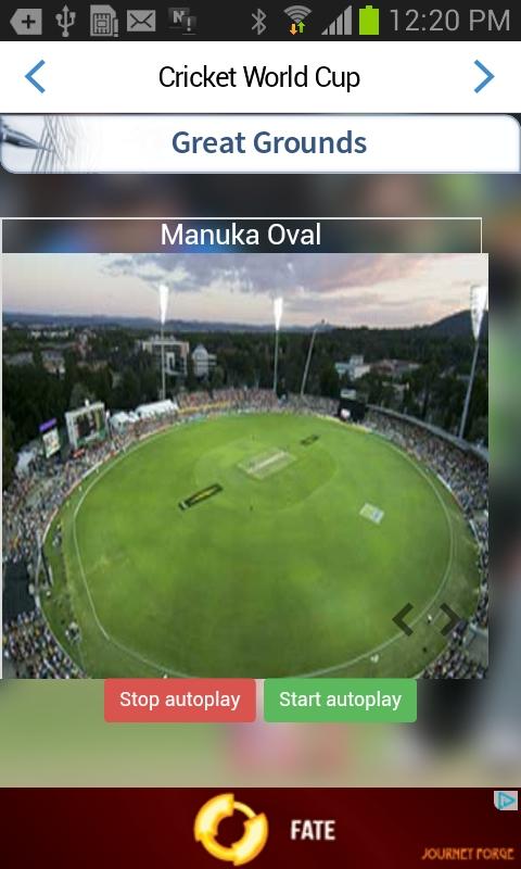 Cricket World Cup截图2