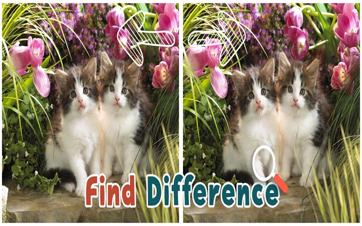 Find 5 Difference : Cats截图2