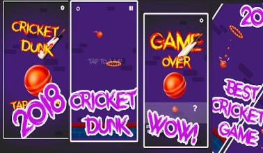 Cricket dunk genuine dunk criket 2018截图5