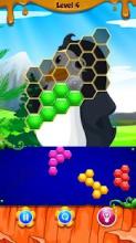 Penguin Hexagon Puzzle截图4